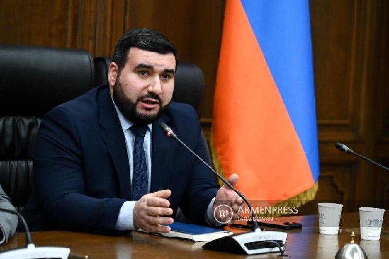 Депутат Национального Собрания Армении Ваагн Алексанян выступает на заседании по обороне и безопасности.