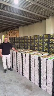 Упаковка армянских абрикосов для экспорта в Сингапур компанией Davtyan Farms