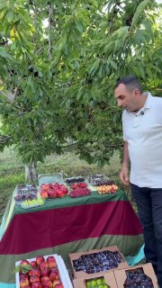 Первая партия армянских фруктов отправляется в ОАЭ компанией Araratyan Farm